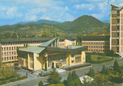 Baia Mare : Palatul politico-administrativ : [Carte poştală ilustrată]