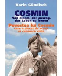 Cosmin von einem, der auszog, das Leben zu lernen = Povestea lui Cosmin care a plecat de acasă să cunoască viaţa