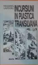 Incursiuni în plastica transilvană Vol. 1