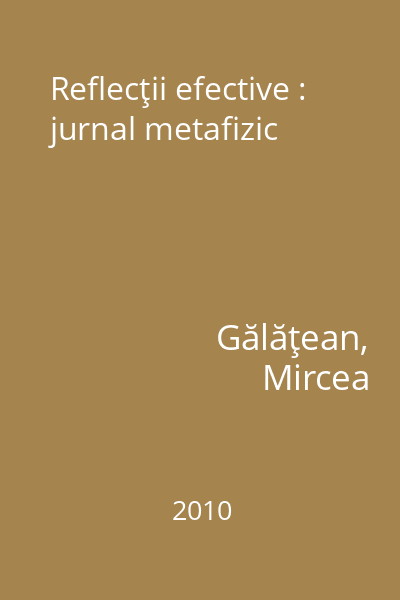 Reflecţii efective : jurnal metafizic