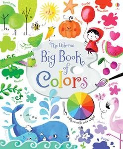 The Usborne big book of colours
