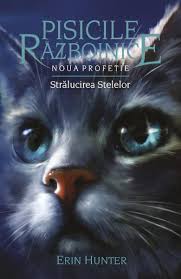Pisicile războinice Vol. 10 : Strălucirea stelelor