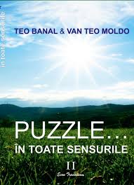 Puzzle... în toate sensurile : roman [Vol. 2]