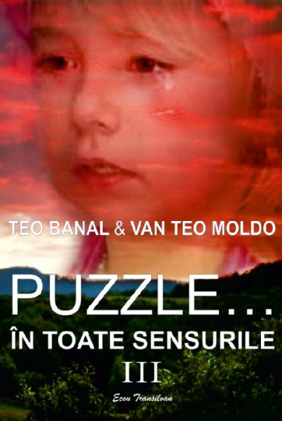 Puzzle... în toate sensurile : roman Vol. 3