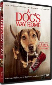 A dog's way home = Drumul unui câine către casă