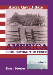 America from the beyond the fence : short stories
