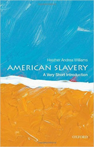 American slavery : a very short introduction