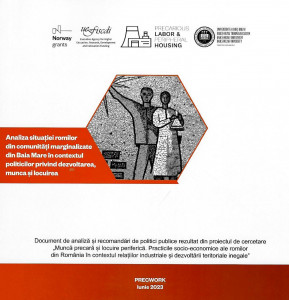 Analiza situației romilor din comunități marginalizate din Baia Mare în contextul politicilor privind dezvoltarea, munca și locuirea : document de analiză și recomandări de politici publice rezultat din proiectul de cercetare „Muncă precară și locuire periferică. Practicile socio-economice ale romilor din România în contextul relațiilor industriale și dezvoltării teritoriale inegale”