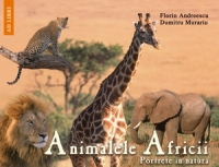 Animalele Africii : portrete în natură