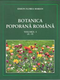 Botanica poporană română Vol. 1 : (A-F)