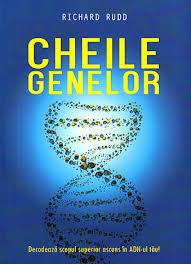 Cheile genelor : decodează scopul superior ascuns în ADN-ul tău!