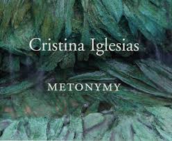 Cristina Iglesias - metonymy