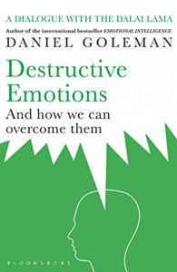 Destructive emotions and how we can overcome them : a dialog with Dalai Lama