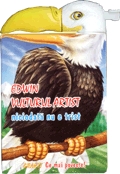 Edwin vulturul artist niciodată nu e trist : [carte ilustrată]