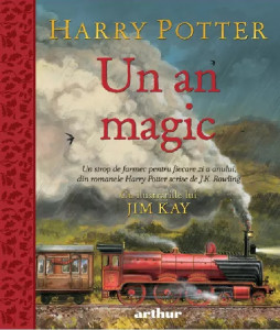Harry Potter : un an magic