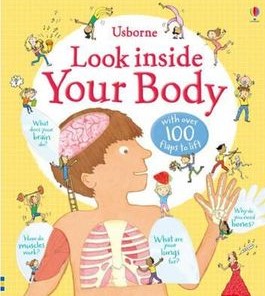 Look inside your body : with over 100 flaps to lift