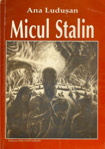 Micul Stalin- : [roman]