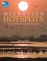 Migration hotspots : the world's best bird migration sites