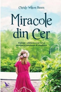 Miracole din cer : o fetiţă, călătoria ei la Cer şi povestea ei uimitoare de vindecare