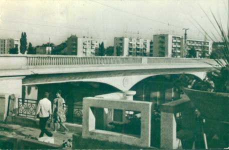 Oradea. Vedere de pe podul „23 August” : [Carte poştală ilustrată]
