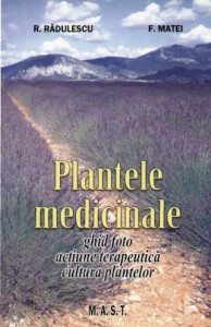 Plantele medicinale : ghid foto, acţiune terapeutică, cultura plantelor