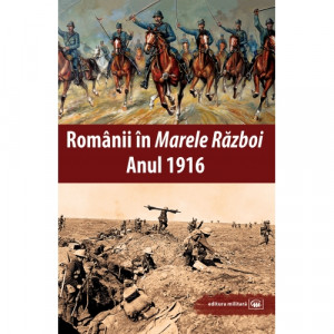 Românii în „Marele Război” : anul 1917