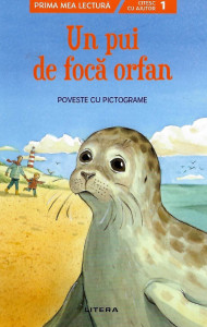 Un pui de focă orfan